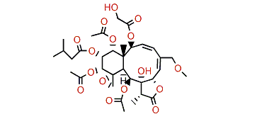 Gemmacolide AK